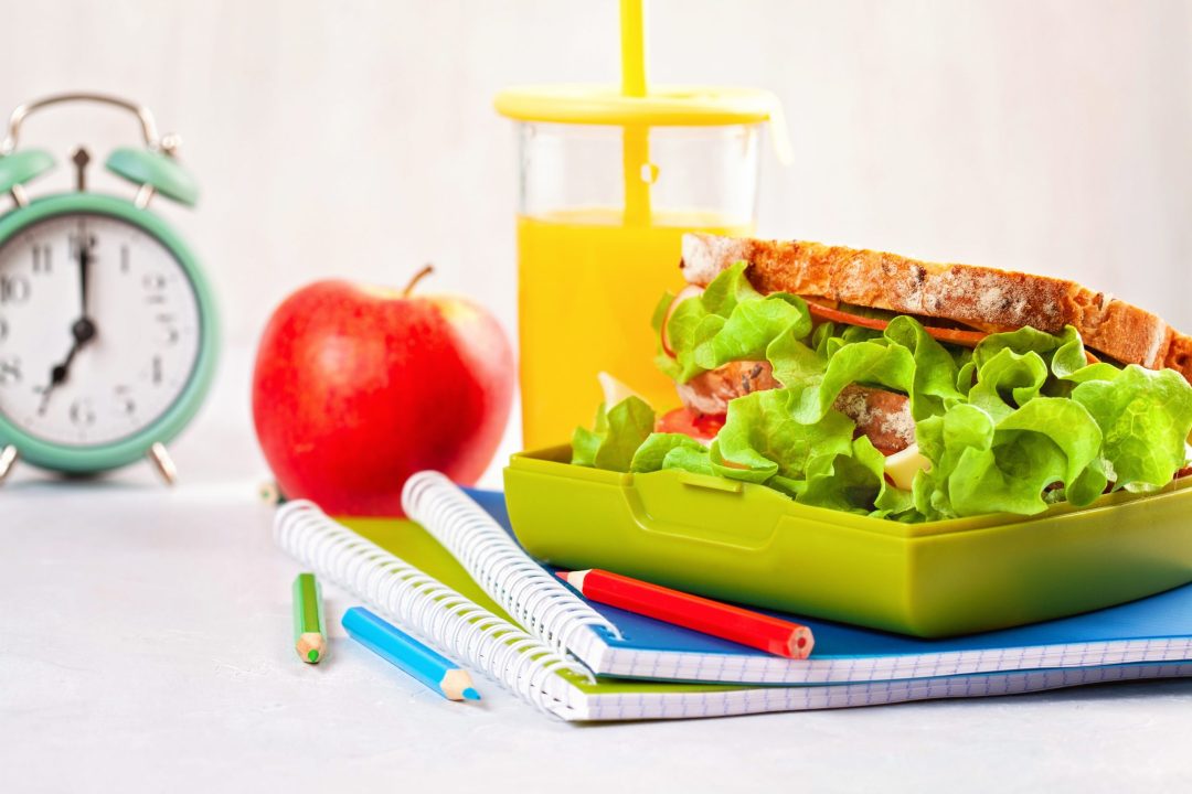 Fresh sandwich and apple for healthy lunch in the plastic lunch box